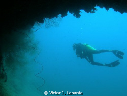 Coming out of La Nariz Cave Dive site in Mayaquez area at... by Victor J. Lasanta 